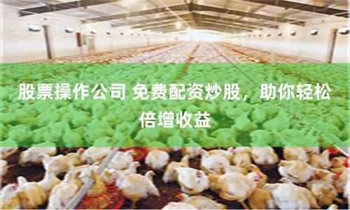 股票操作公司 免费配资炒股，助你轻松倍增收益